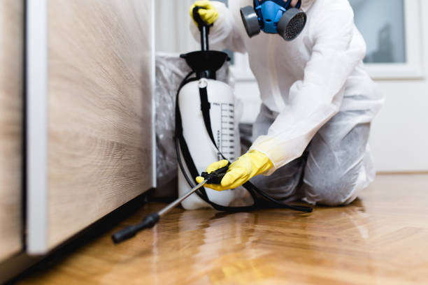 Best Best Pest Control Companies  in Danville, KY